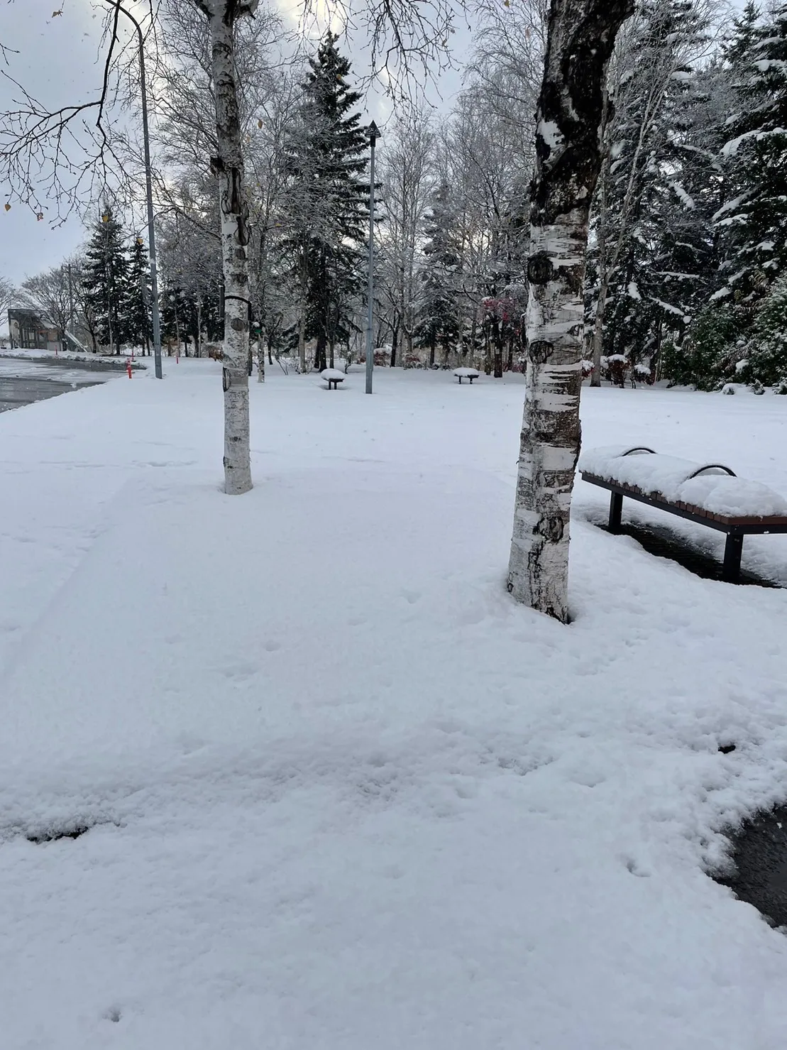 雪が本格的に降る前にご紹介です⛄️